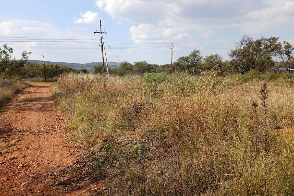 LEVEL VACANT LAND READY TO DEVELOP - Photo 2
