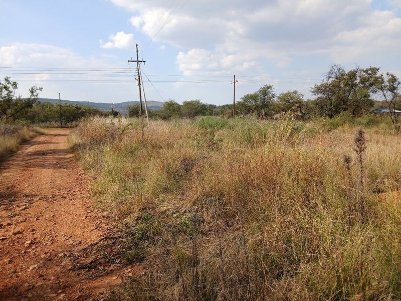 LEVEL VACANT LAND READY TO DEVELOP - Photo 2