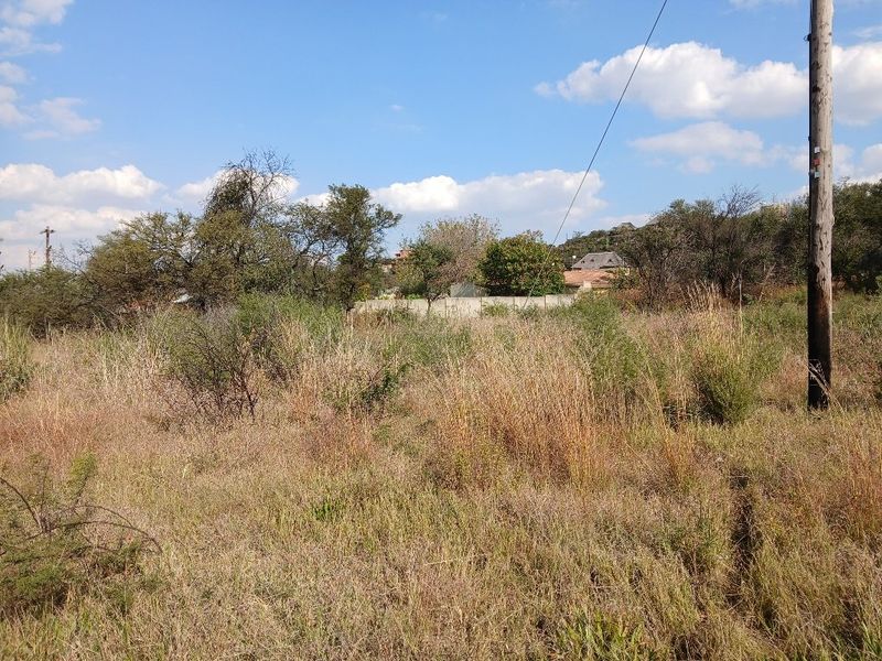 LEVEL VACANT LAND READY TO DEVELOP - Photo 1