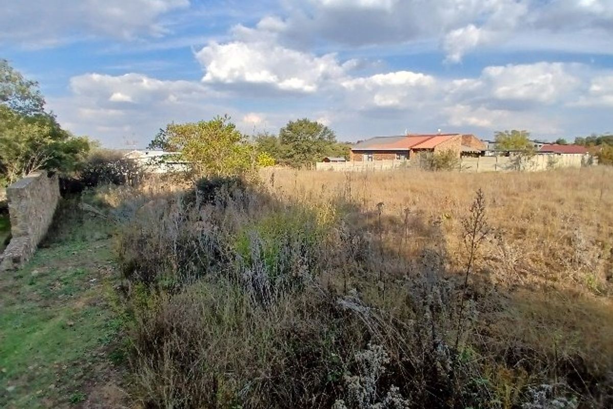 A view of a vacant residential plot featuring overgrown vegetation and an existing stone boundary wall, set within a suburban neighborhood.