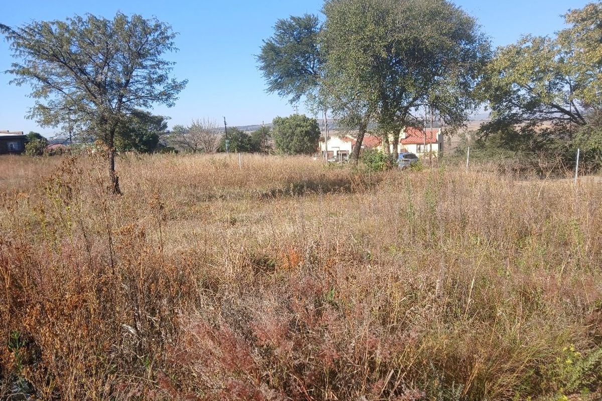 VACANT LARGE LEVEL STAND VAALOEWER  - Photo 2