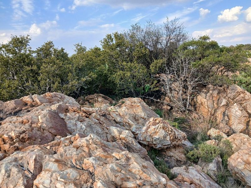 VACANT NATURE VIEW STAND VAALOEWER  - Photo 1