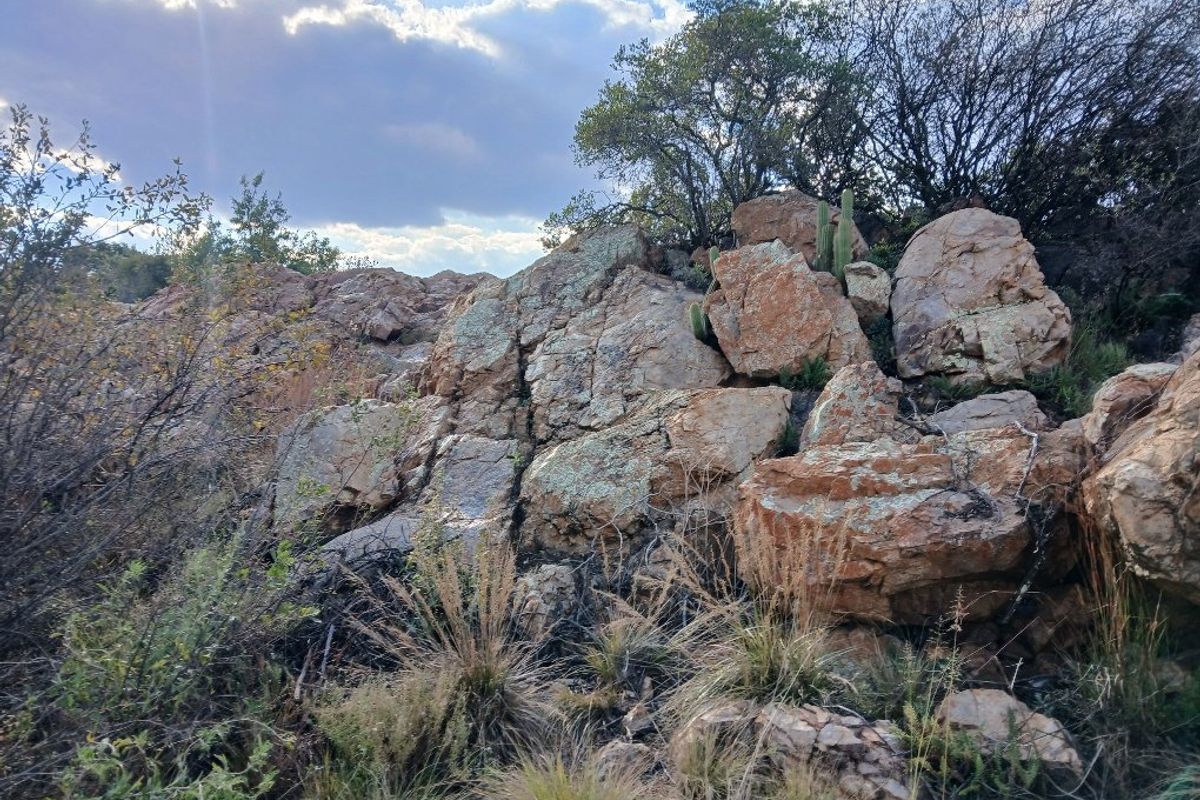 VACANT NATURE VIEW STAND VAALOEWER  - Photo 5