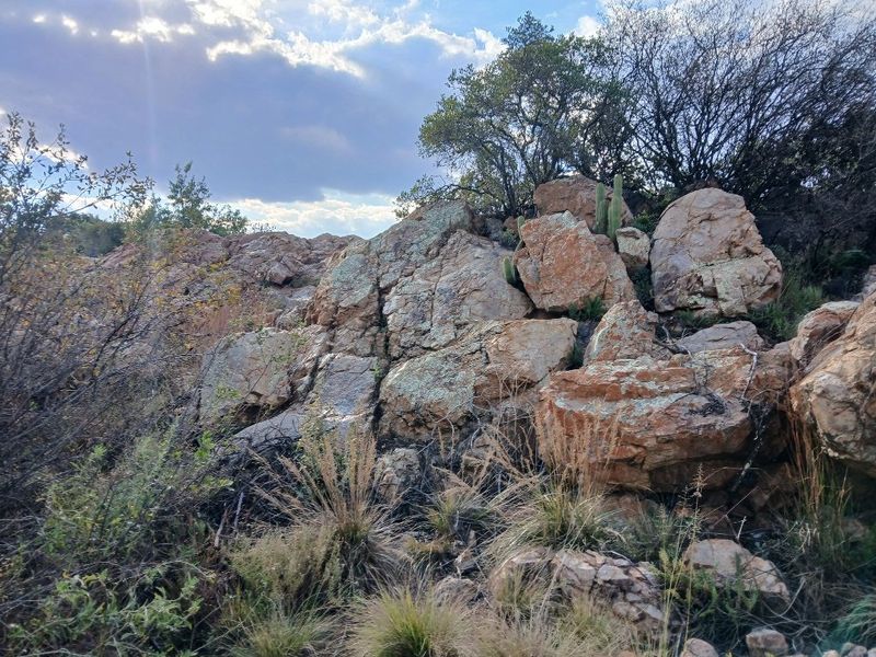 VACANT NATURE VIEW STAND VAALOEWER  - Photo 5