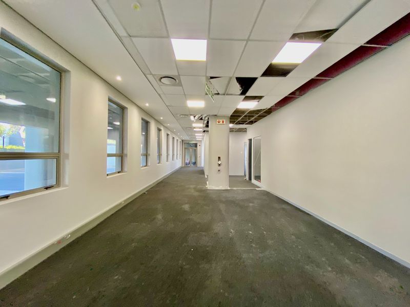 A vacant commercial hallway featuring large windows, carpeted flooring, and a suspended ceiling with visible damage and missing tiles requiring repair.