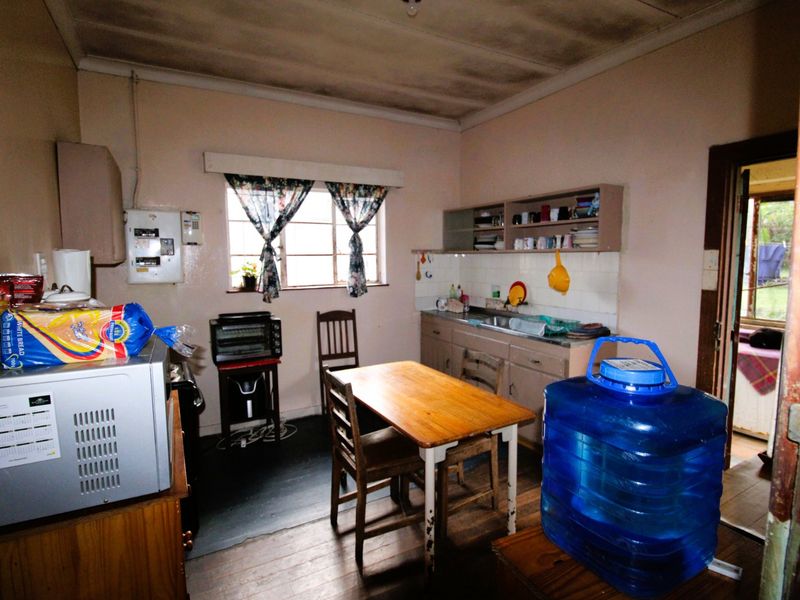 Great Investment!  Golden Oldie with Endless Potential - Photo 5