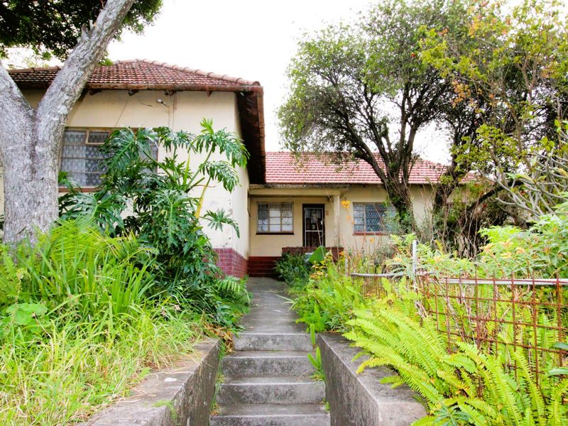 Great Investment!  Golden Oldie with Endless Potential - Photo 1