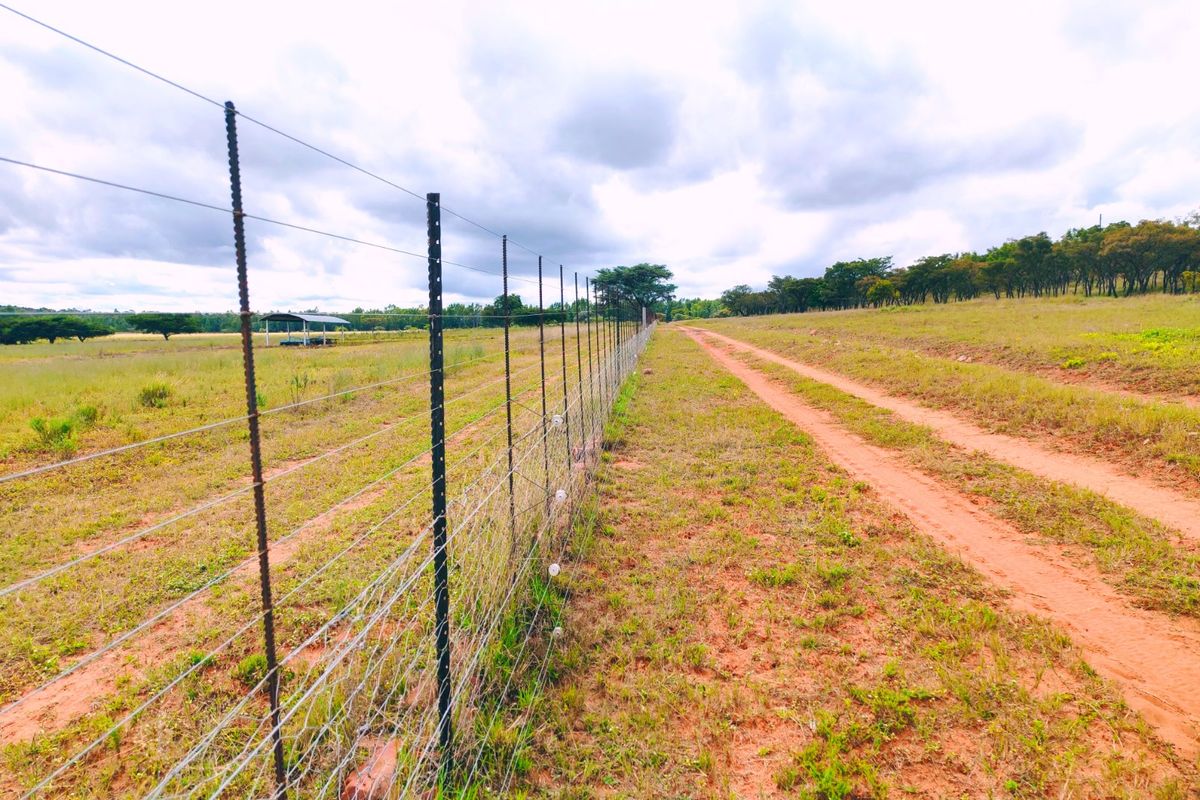 A view of the farm property featuring a long wire mesh fence line bordering a dirt track and open grazing land.