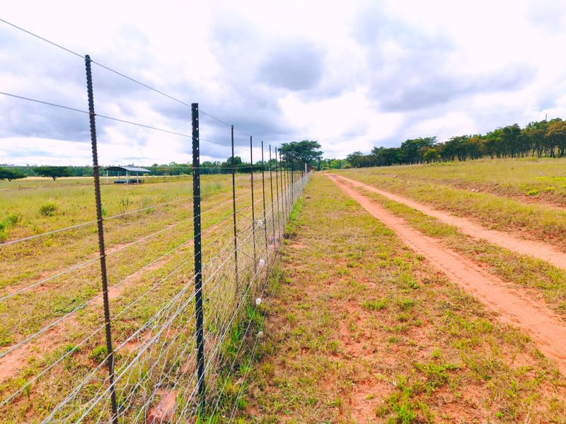 A view of the farm property featuring a long wire mesh fence line bordering a dirt track and open grazing land.