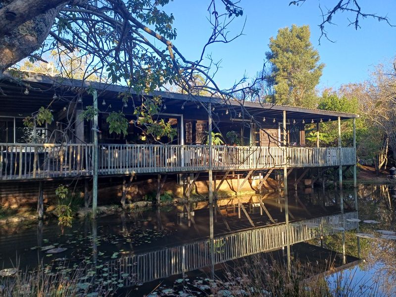 Relocate to Wilderness Heights - Photo 2