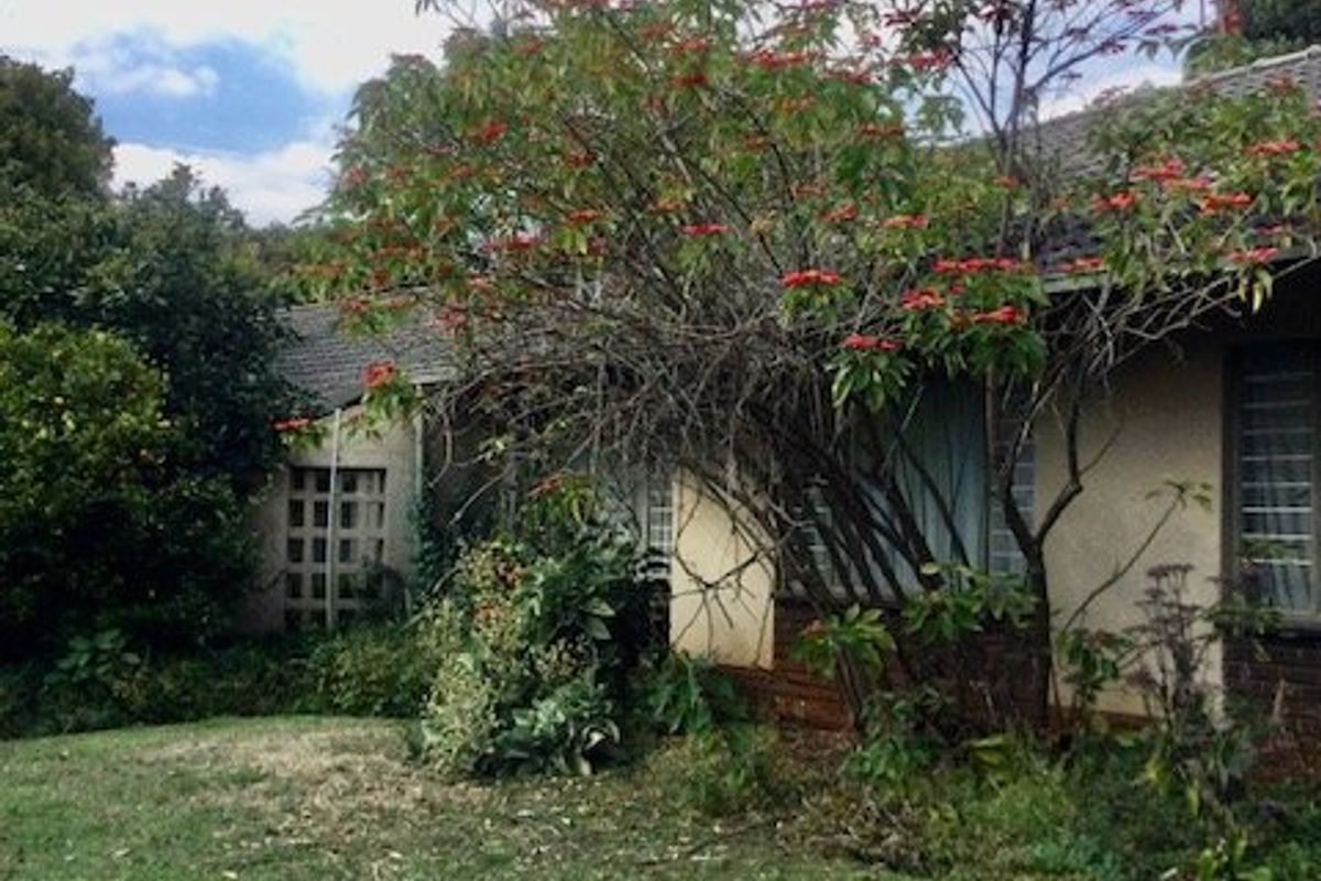Rear view of the house featuring a lawn and established garden, showing the exterior wall, tiled roof, and security window bars.