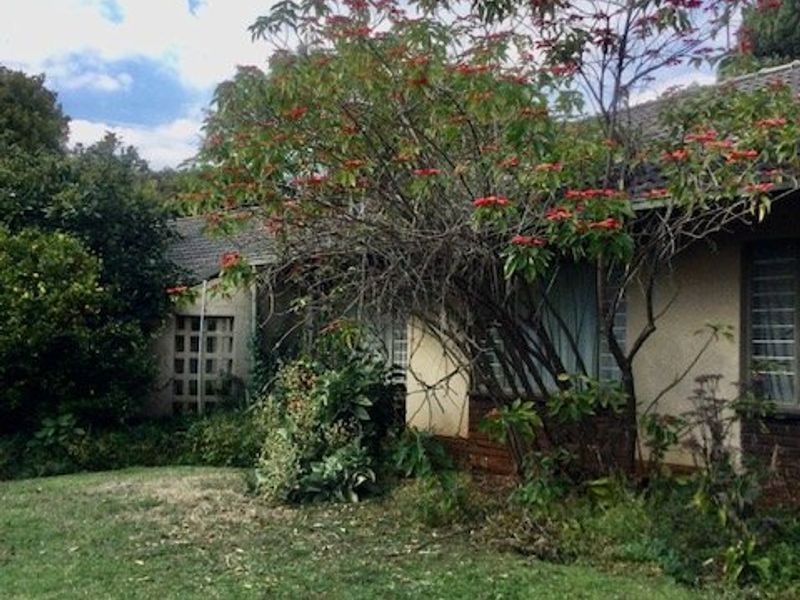 Rear view of the house featuring a lawn and established garden, showing the exterior wall, tiled roof, and security window bars.