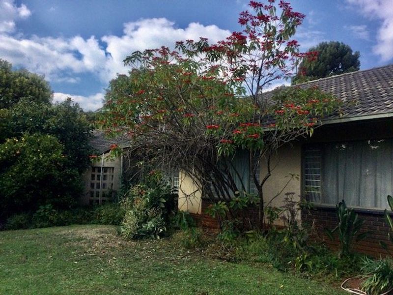 Rear view of the house featuring a tiled roof, brick and rendered facade, and established garden with mature trees.