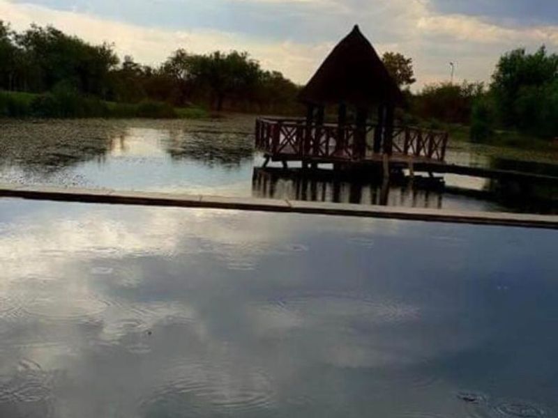 Charming Modimolle Home with Garden and Pets Welcome - Photo 9