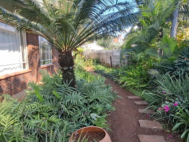 Elegant Queenswood Oasis with 3 Beds and Borehole PLUS granny flat & offices - Photo 1