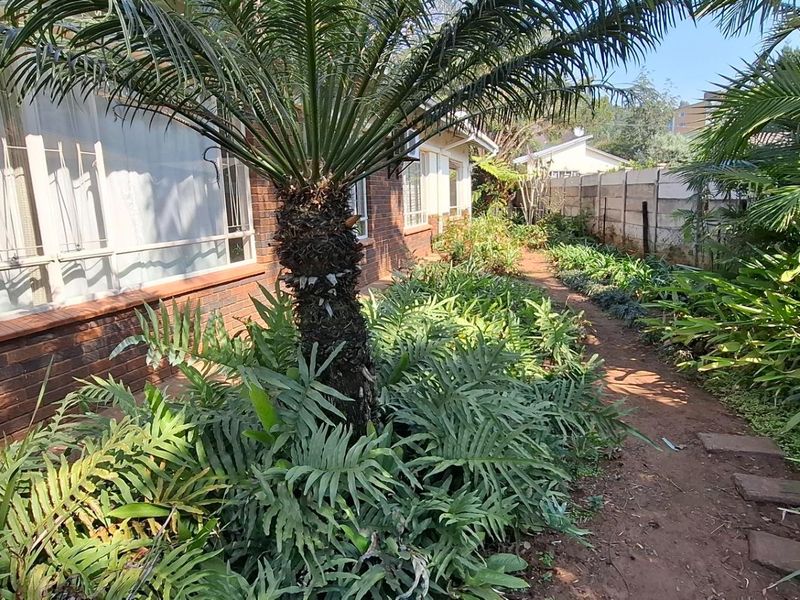 Elegant Queenswood Oasis with 3 Beds and Borehole PLUS granny flat & offices - Photo 9