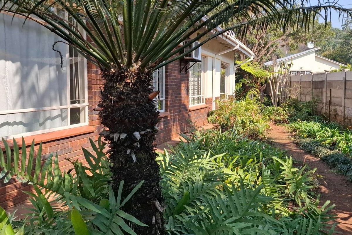 A view of the rear exterior of the house featuring a brick facade, established garden landscaping, and a precast concrete boundary wall.