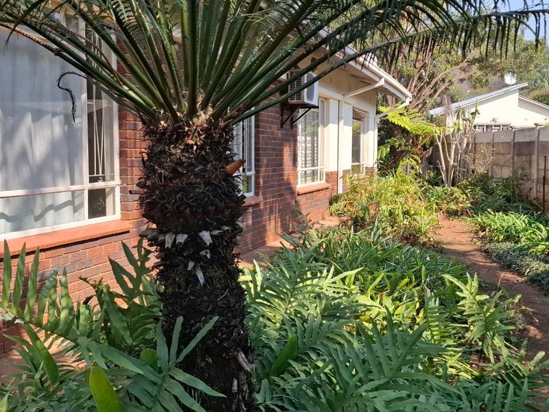 Elegant Queenswood Oasis with 3 Beds and Borehole PLUS granny flat & offices - Photo 2