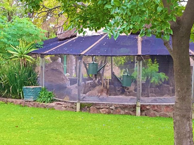 A landscaped garden area featuring a stone retaining wall and a large, mesh-enclosed structure with a thatched roof.