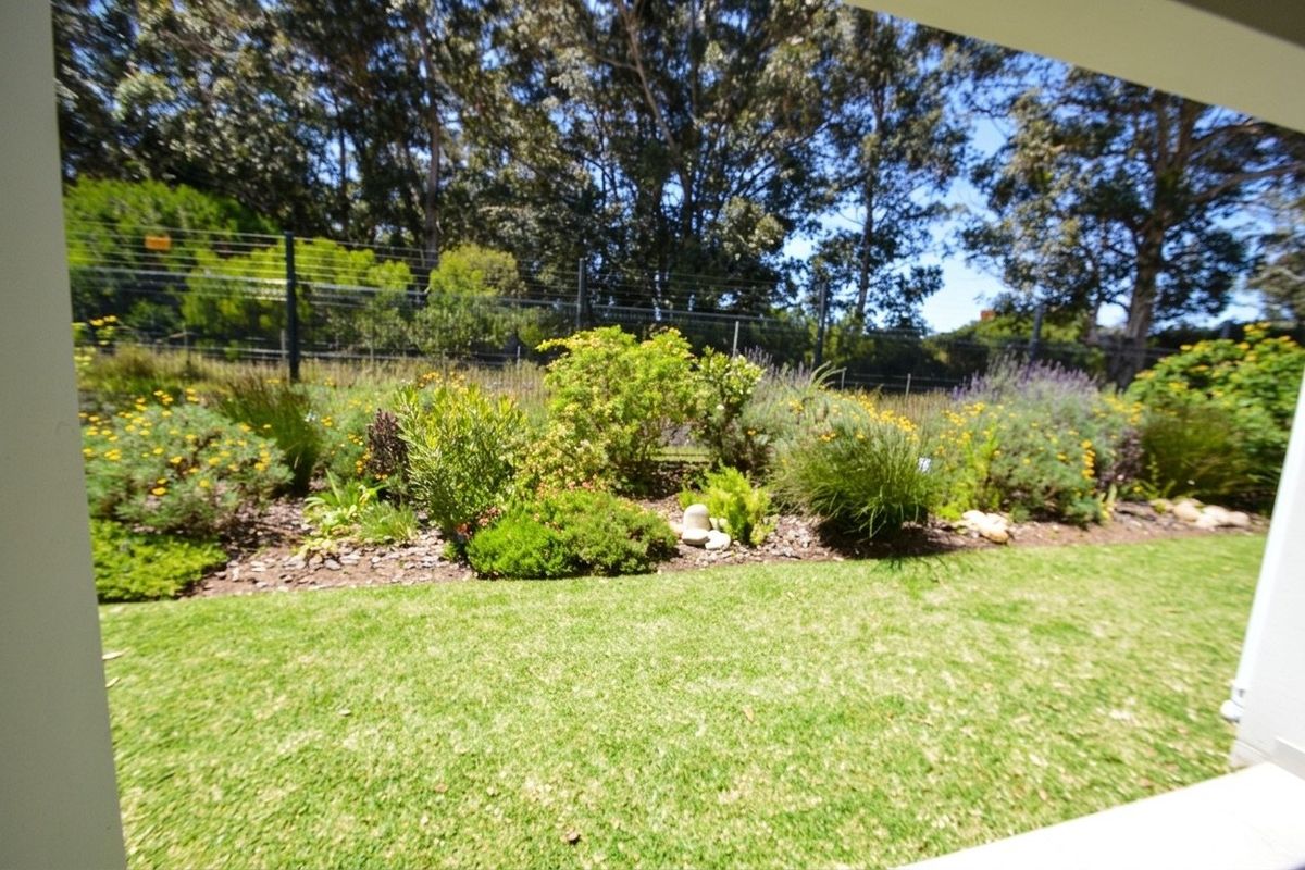 Sunny and Modern 2 Bedroom Ground-floor Apartment - Photo 3