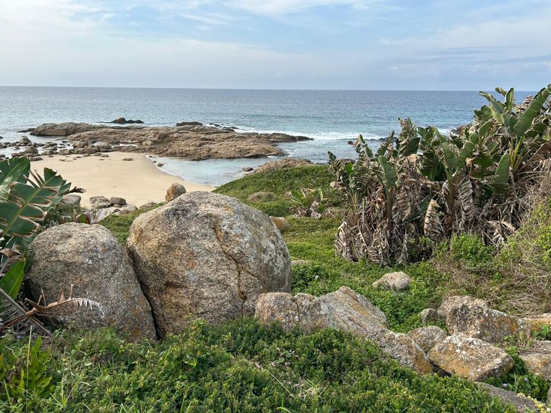 A scenic coastal view featuring natural rock formations, indigenous vegetation, and a sandy beach overlooking the ocean.