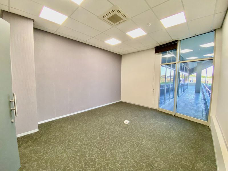 A bright, empty commercial office space featuring carpeted flooring, a suspended ceiling with recessed lighting, and large glass windows providing natural light.