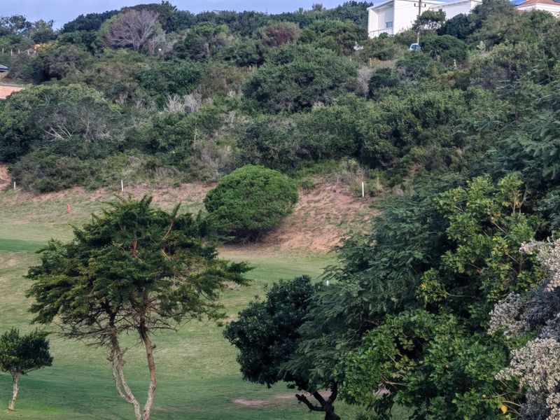 Vacant Erf in Dolphin Creek Golf Estate Close to the beach - Photo 3