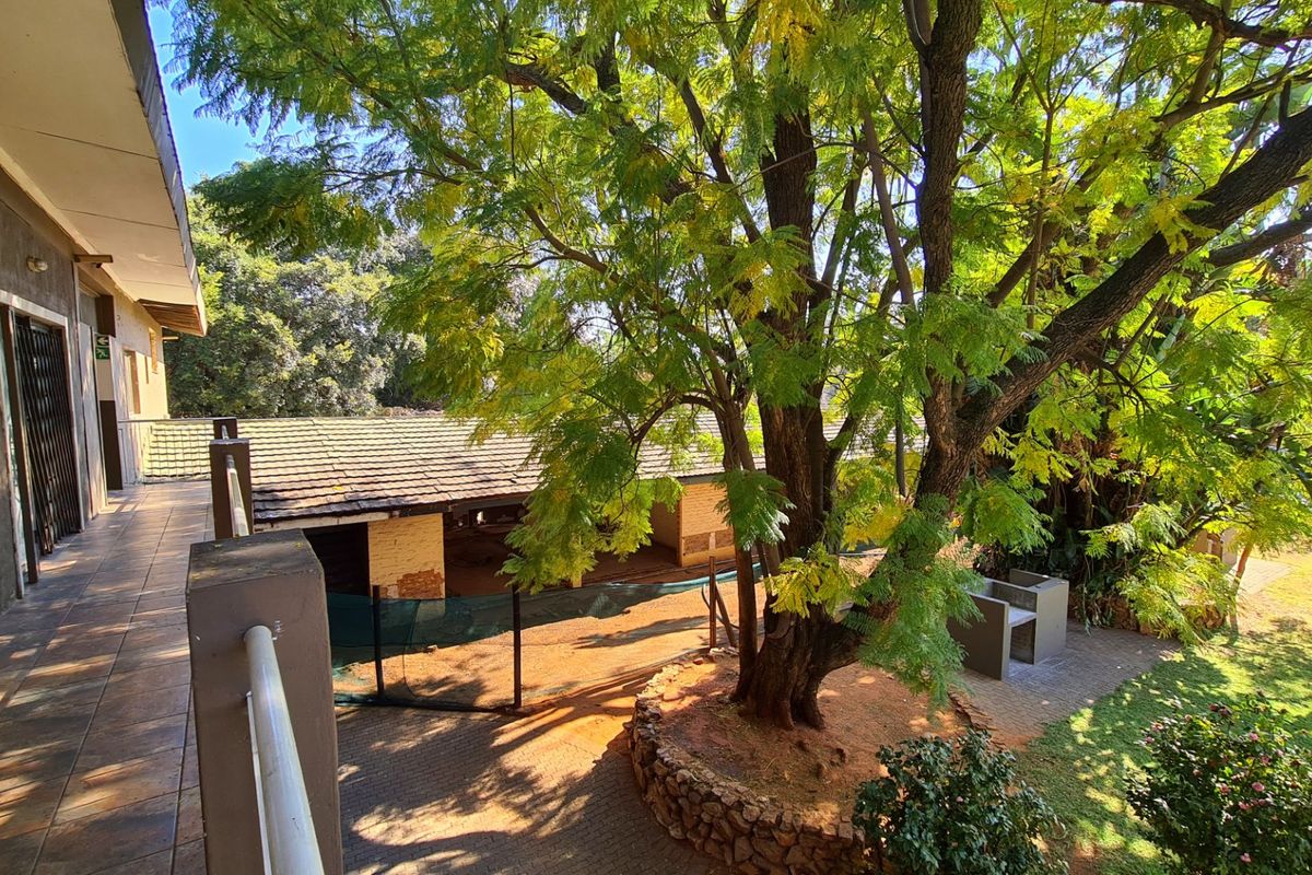 Elevated view of a rear courtyard featuring a paved area, mature tree with stone retaining wall, built-in concrete braai, and access to an outbuilding.