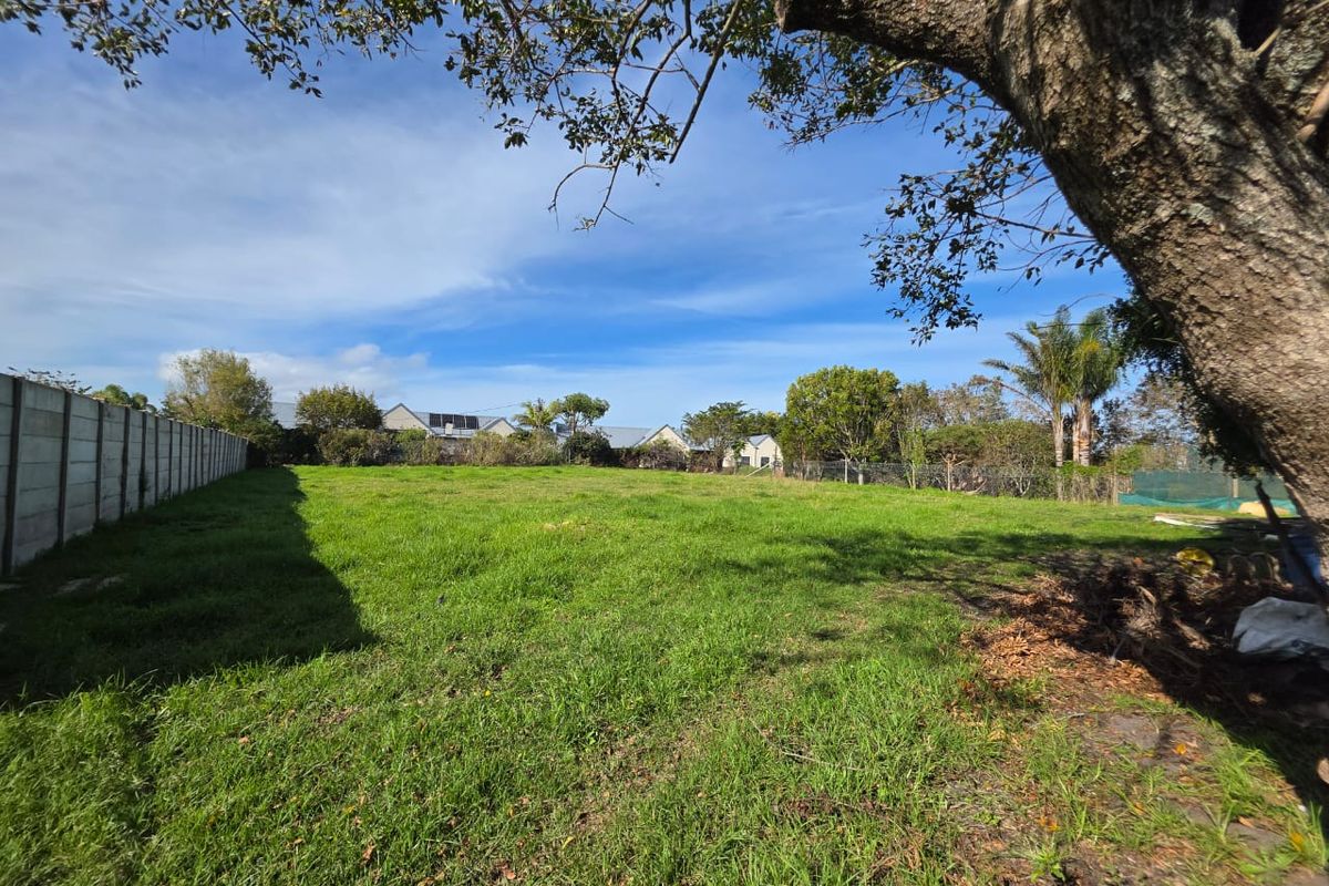 Prime Vacant Land For Sale In The Heart Of Heokwil - Photo 5