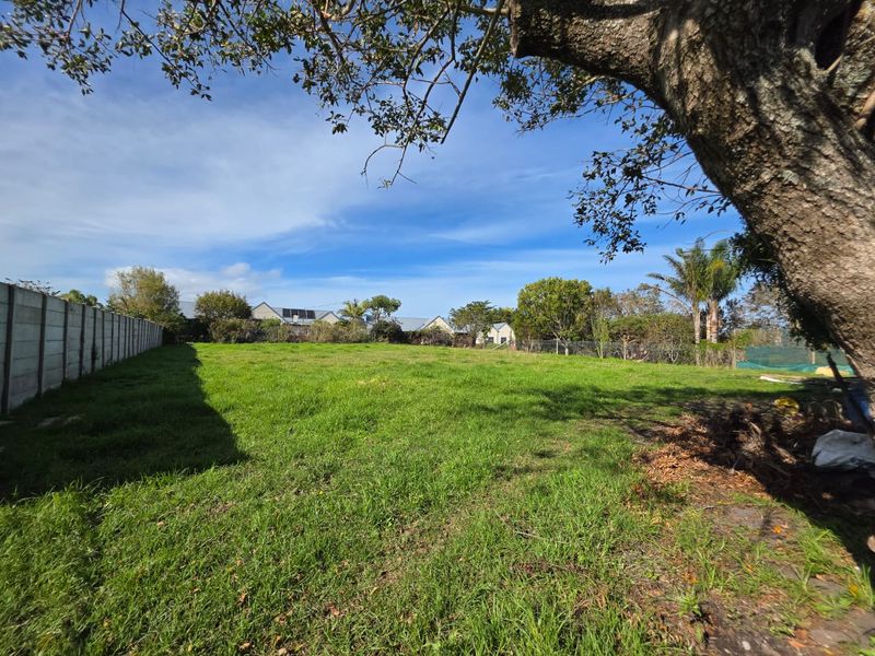 Prime Vacant Land For Sale In The Heart Of Heokwil - Photo 5