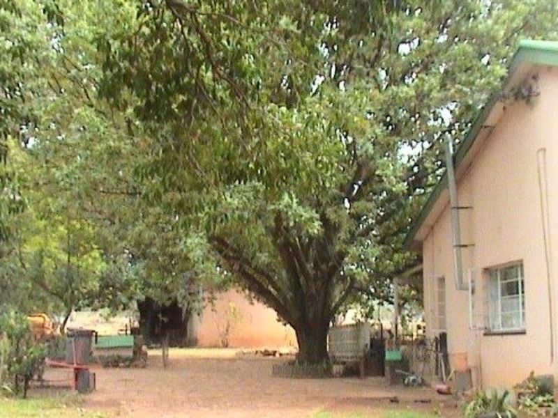 Rear view of the property showing the exterior wall, metal roofing, and mature trees in the backyard area.