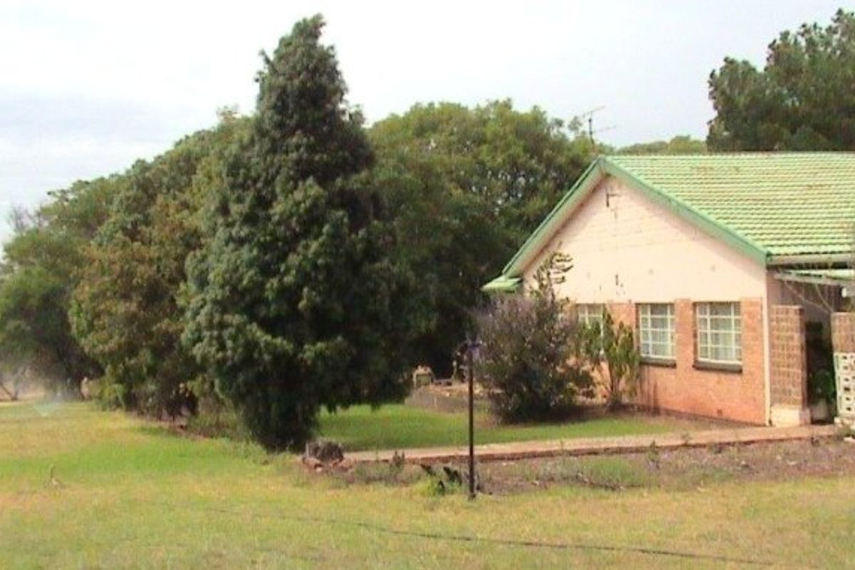 Rear view of a single-story brick house featuring a tiled roof, security bars on windows, and a surrounding garden area.