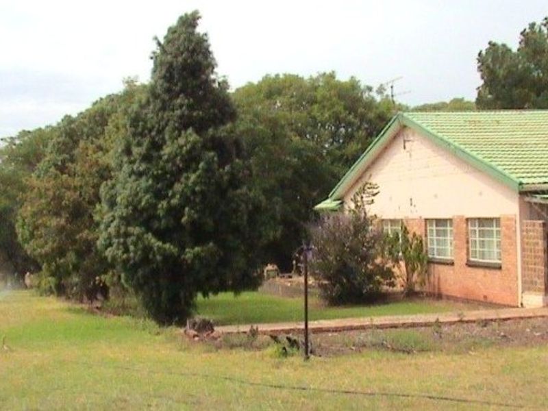 Rear view of a single-story brick house featuring a tiled roof, security bars on windows, and a surrounding garden area.