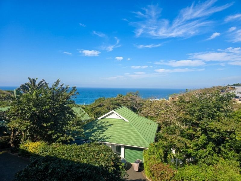 Forest Living Meets Coastal Views - Photo 6
