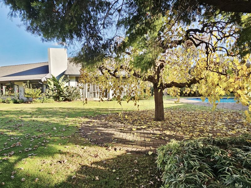 Spacious rear garden featuring a swimming pool, mature trees, and a paved area, providing a private outdoor space for relaxation and entertainment.