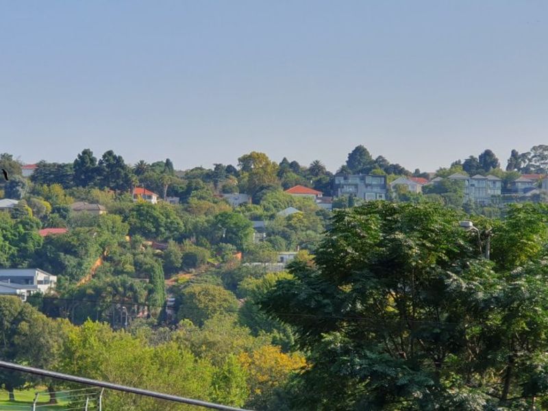 An elevated scenic view overlooking a lush, green suburban landscape with mature trees and residential properties in the distance.