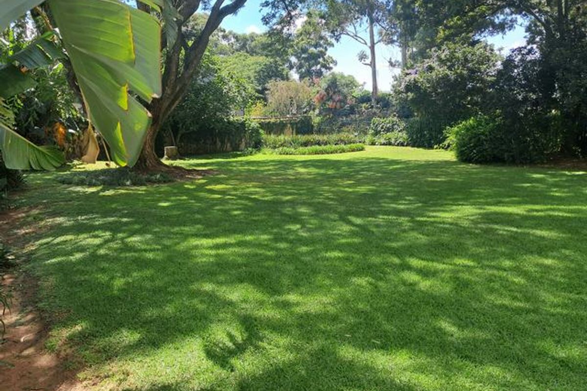A spacious, well-maintained private garden featuring a large manicured lawn, mature trees, and established perimeter landscaping.