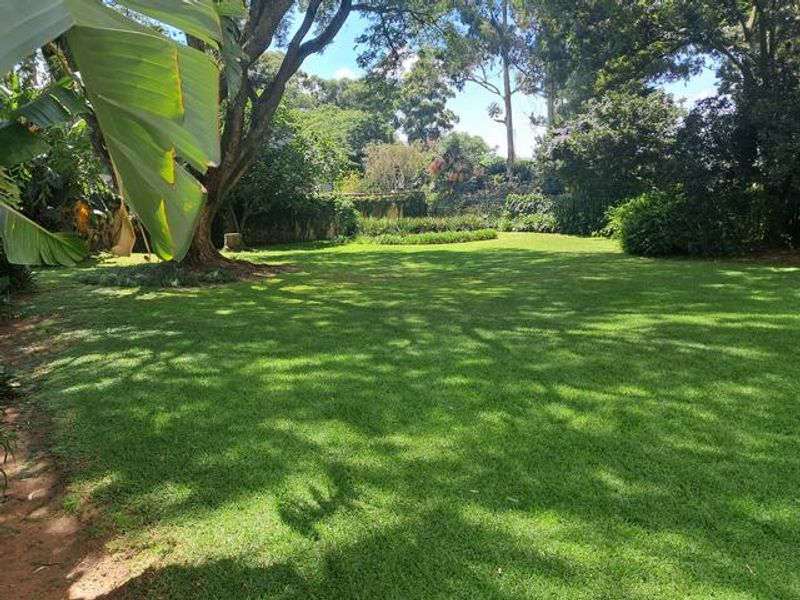 A spacious, well-maintained private garden featuring a large manicured lawn, mature trees, and established perimeter landscaping.