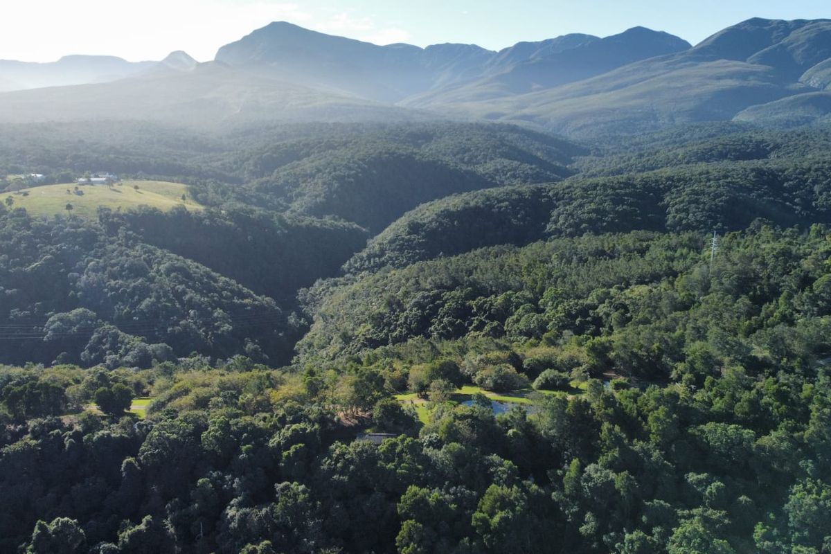 A Private Sanctuary in the Heart of Wilderness Metanoia Estate - Photo 2