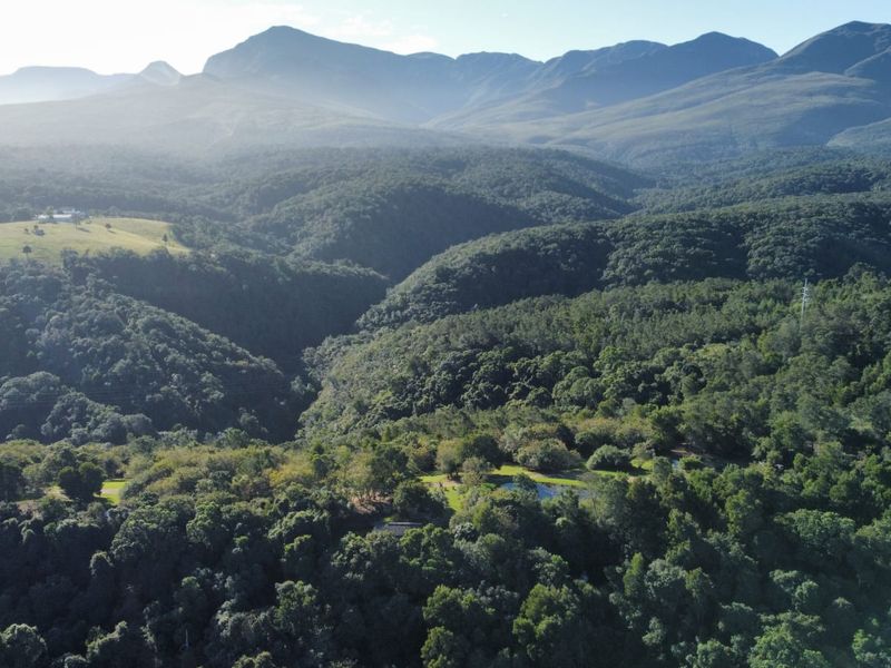 A Private Sanctuary in the Heart of Wilderness Metanoia Estate - Photo 2