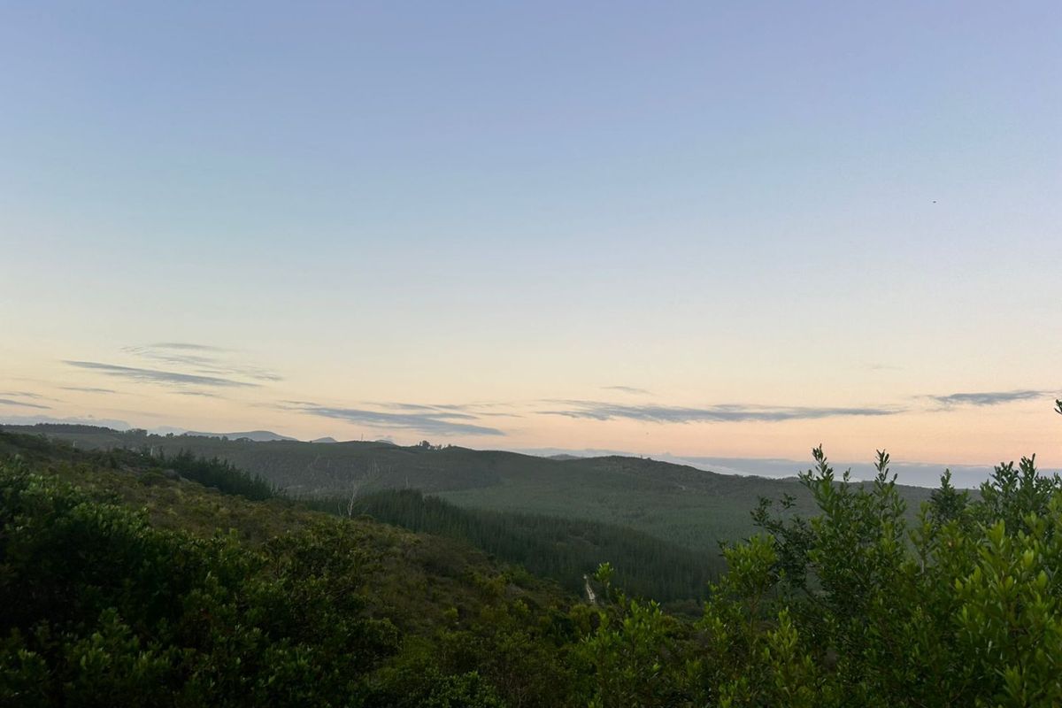 Where Nature Sets the Pace - Photo 2