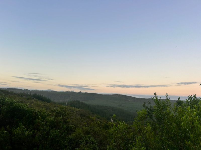 Where Nature Sets the Pace - Photo 2