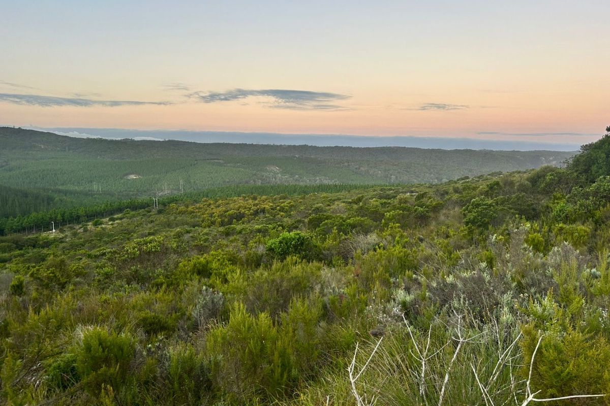 Where Nature Sets the Pace - Photo 5