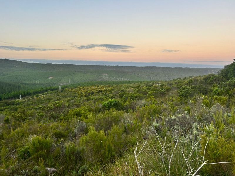 Where Nature Sets the Pace - Photo 5