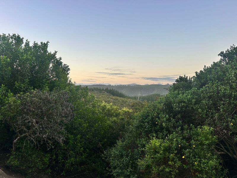 Where Nature Sets the Pace - Photo 8