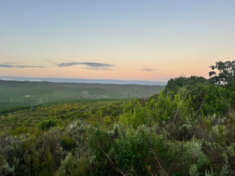Where Nature Sets the Pace - Photo 6