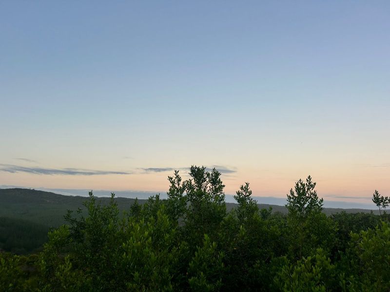 Where Nature Sets the Pace - Photo 1