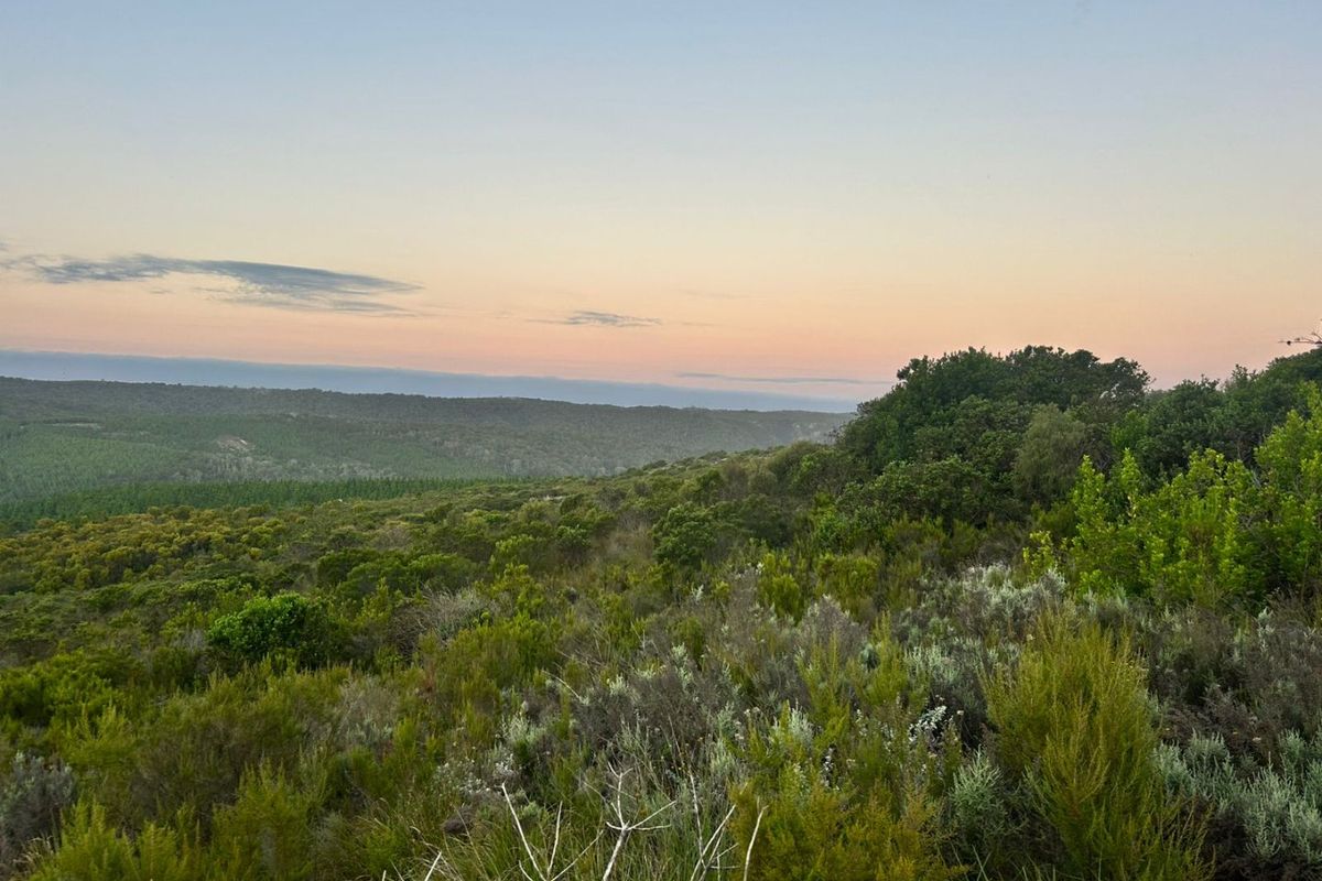 Where Nature Sets the Pace - Photo 3