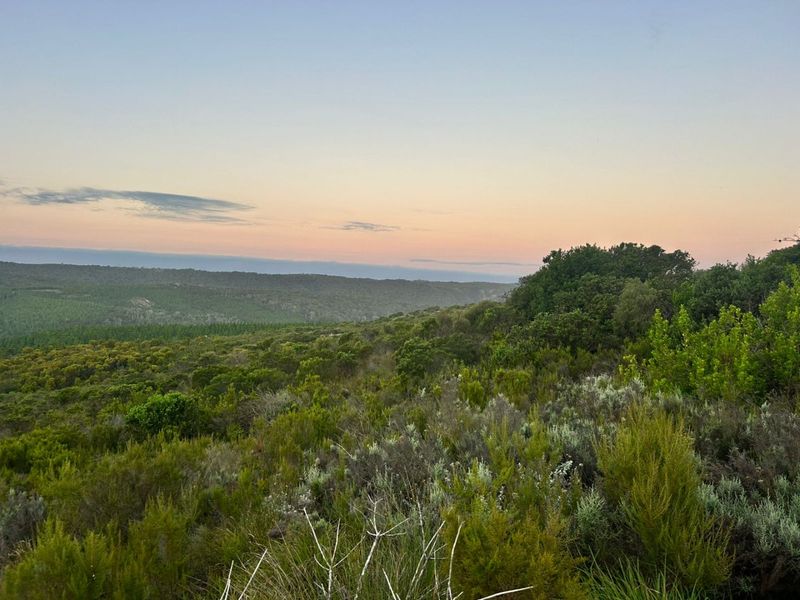 Where Nature Sets the Pace - Photo 3