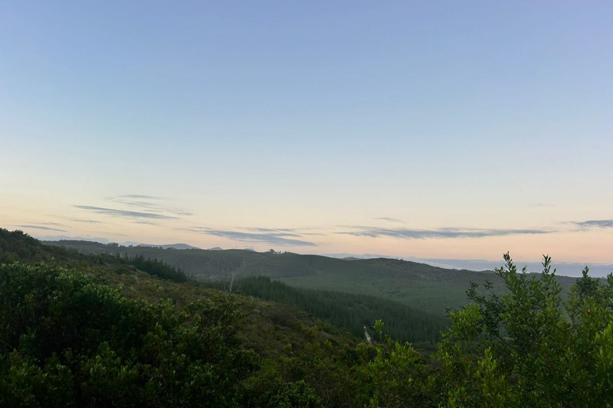 Where Nature Sets the Pace - Photo 4